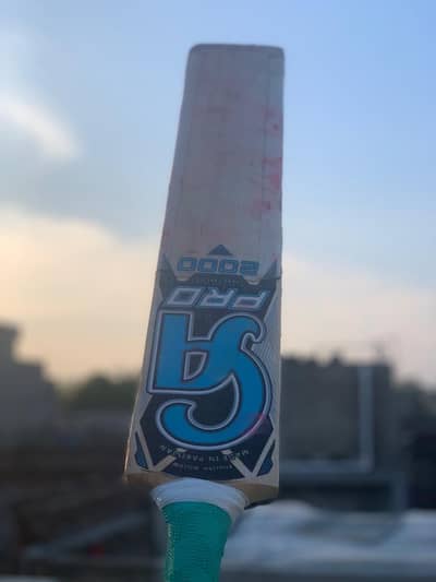 CA pro2000 used English willow bat