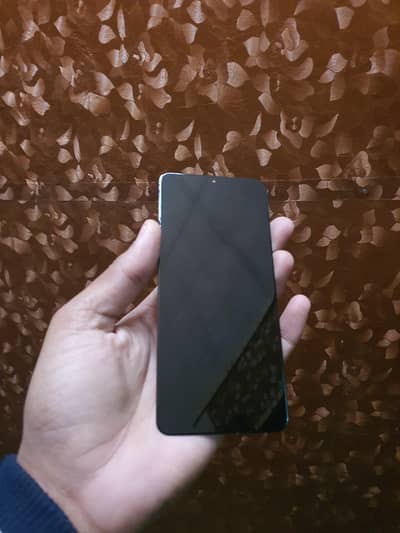 samsong s21 pluss panel