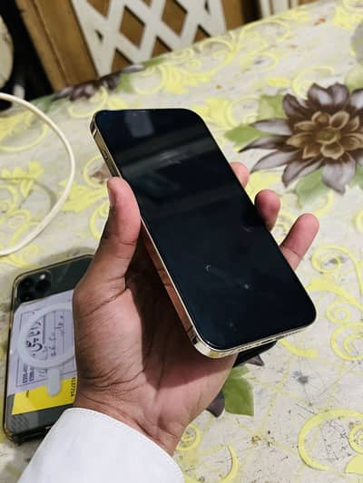 Iphone 13 pro max Factory unlocked