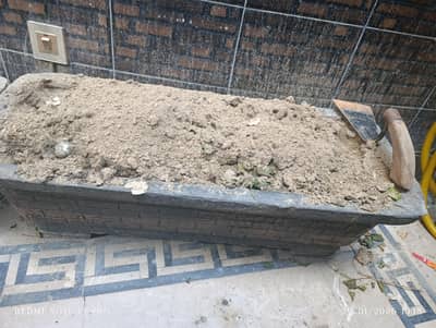 2 plants pot in used condition