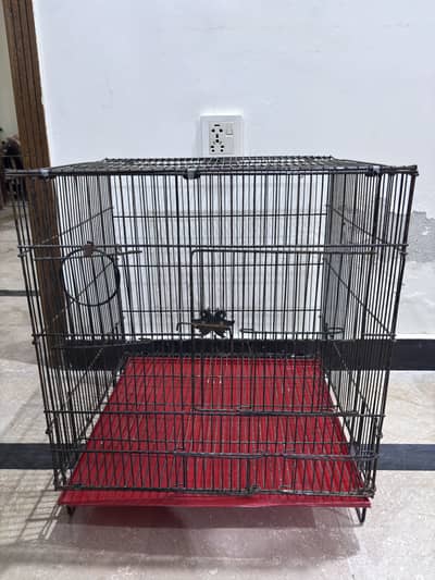 Parrot Cage for Sale