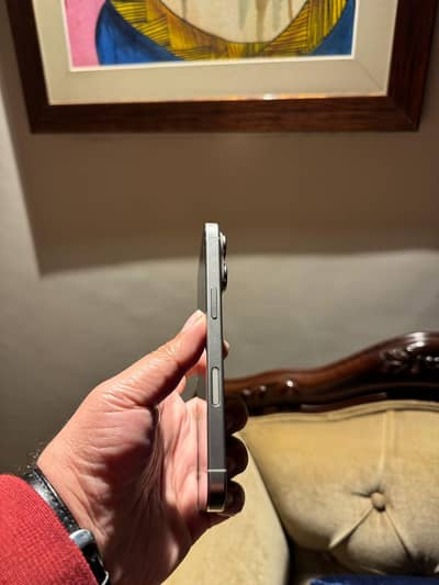 16 Pro 10/10 98% battery