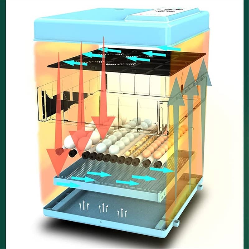 Automatic Egg Incubator | Egg Hatching Machine | Incubator | Brooder 12