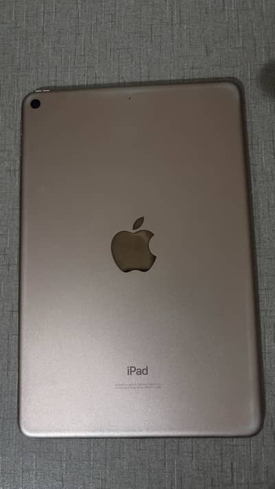 iPad Mini 5 64 GB With Box And Adapter