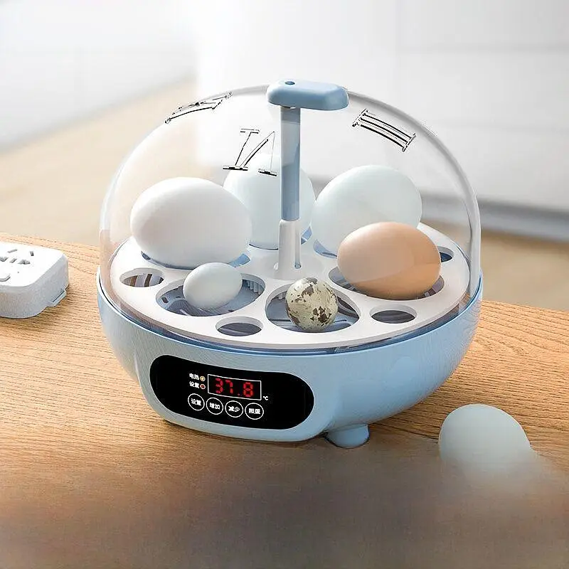 RAMZAN OFFER IMPORTED INCUBATOR | AUTOMATIC INCUBATOR | BROODER — photo 2