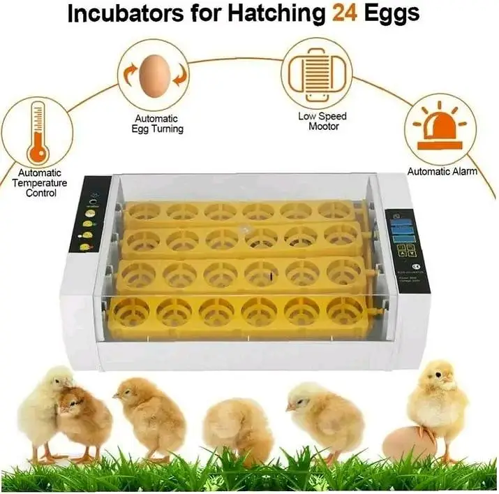RAMZAN OFFER IMPORTED INCUBATOR | AUTOMATIC INCUBATOR | BROODER — photo 6