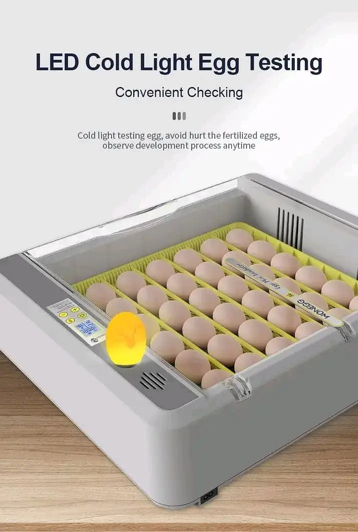 RAMZAN OFFER IMPORTED INCUBATOR | AUTOMATIC INCUBATOR | BROODER — photo 9