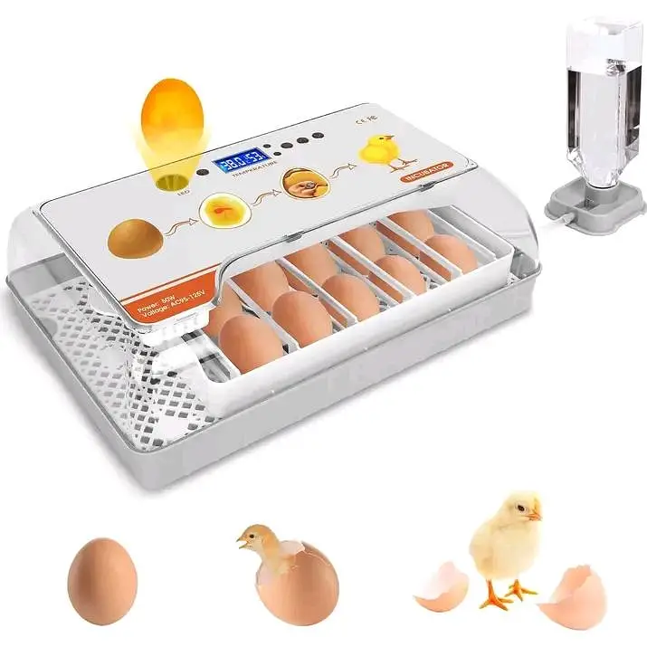 RAMZAN OFFER IMPORTED INCUBATOR | AUTOMATIC INCUBATOR | BROODER — photo 11