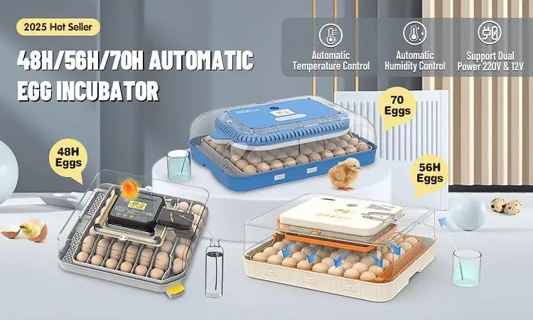 RAMZAN OFFER IMPORTED INCUBATOR | AUTOMATIC INCUBATOR | BROODER — photo 3