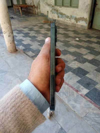 12 promax 256 non pta