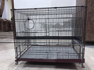 Parrot cage for sale
