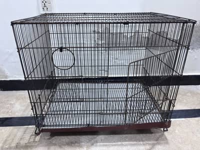 Parrot cage for sale