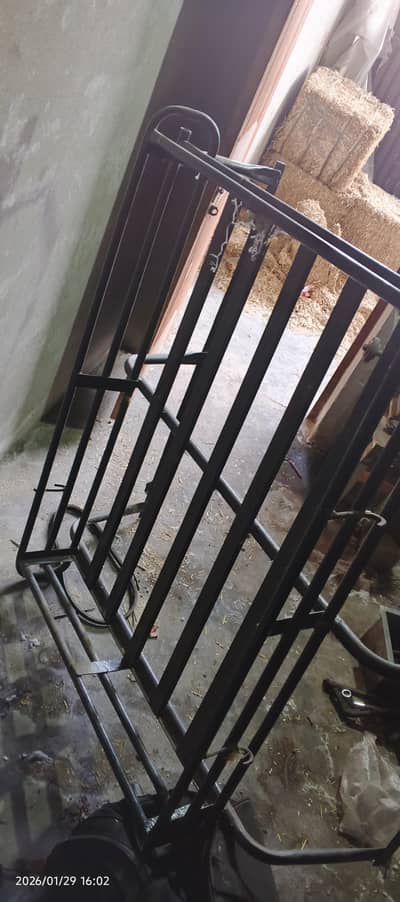 Suzuki bolan gangala