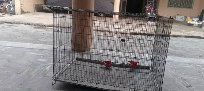 wire cage for sale
