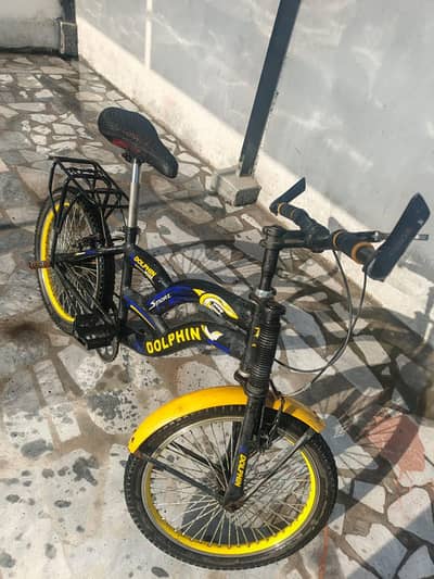 DOLPHIN BICYCLE 