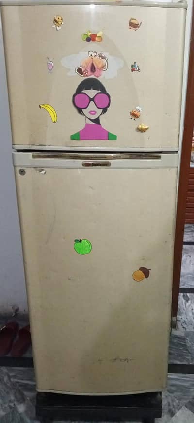 13 cubic feet fridge in a very reasonable price