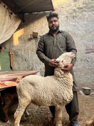 Mundra Ghar ka palha huwaha