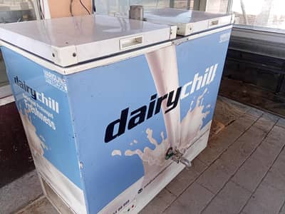 Dairy chiller fresh condition ma hy