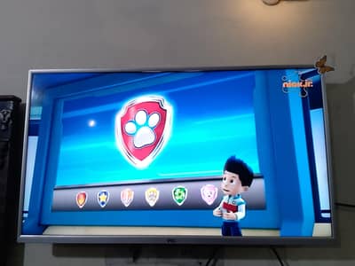 40 inch pel compuny