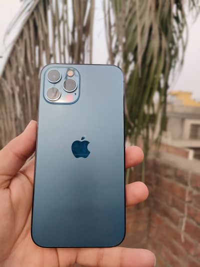 I PHONE 12 pro PTA APPROVED DUAL LLA