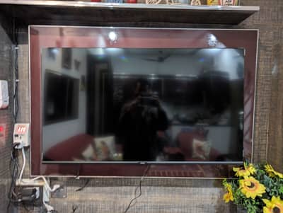 brand new 10/10 haier Qled tv 2 month use only all warranty available