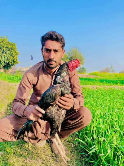 Haider Ali