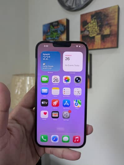 iPhone 13 Pro Max - PTA - 128