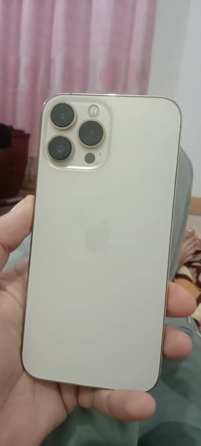 13 pro max 256gb  pta apporve