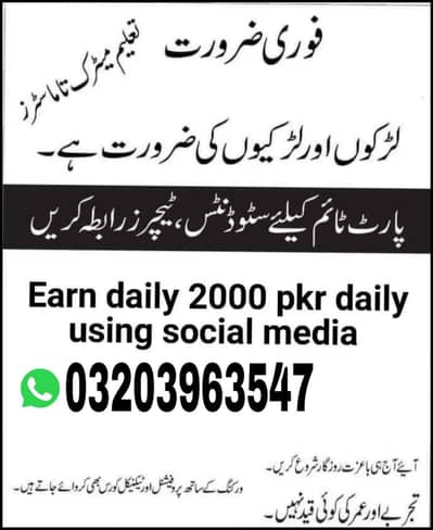 Assignment work & Online help available