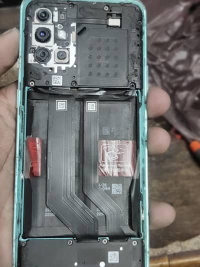 penal and all strips  price almost final