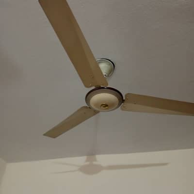 Ceiling Fans for sale