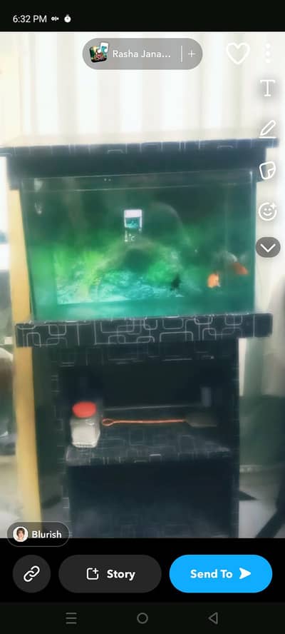 two koi and two gold fish