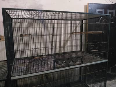 Gray+Raw breeding cage 0321.7242445 call