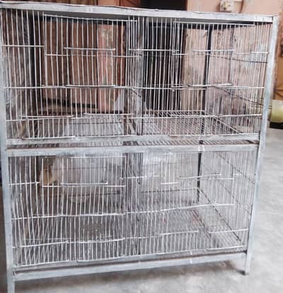 Cage of parrot