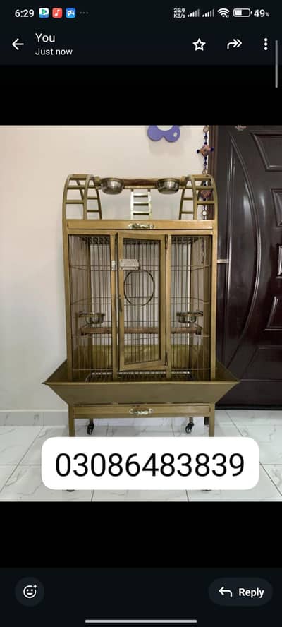 African gry. . . Macau. . cokatoo. . tame birds cage