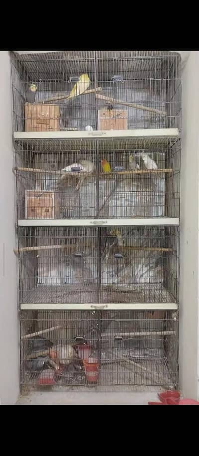 urgent sale full setup