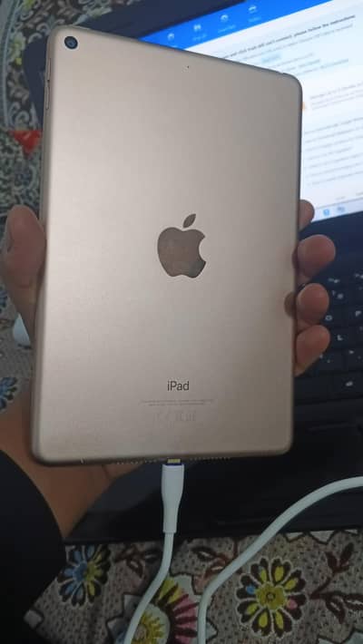 I pad mini 5 256 gb best price no line or any fault