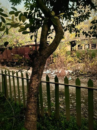 samsung s9 plus 6/64