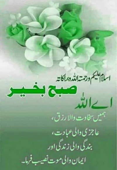 8 GB ram and powersuply