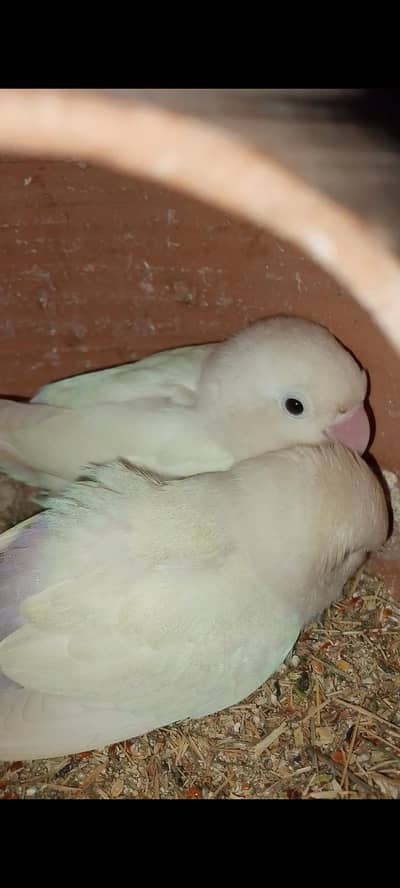 Karachi malir khokhrapar 1 number