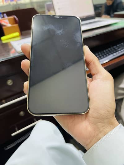 12 pro max Non pta 256 GB with box