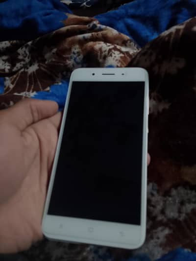 pta approved 10/10. . . .