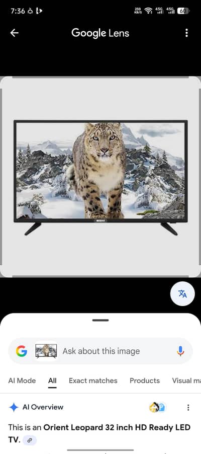 Orient 32inch Led For Sale