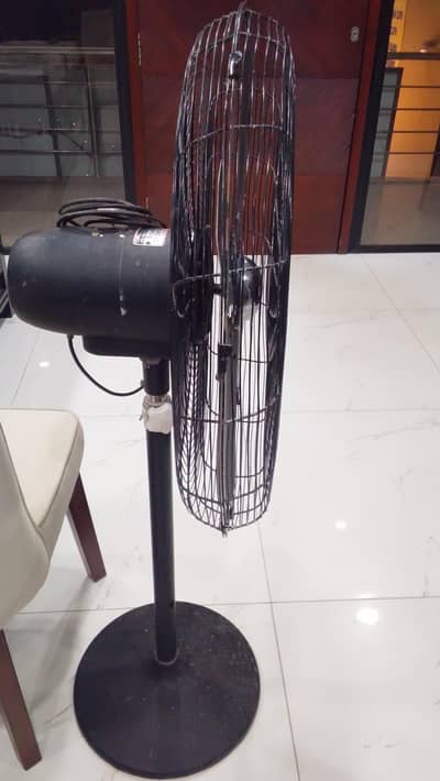 fan for sell