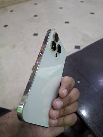 14pro [GOLDEN] fresh Bulbull condition Final (125k) only serious buyer