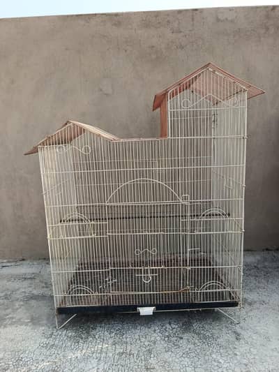 Birds Cage