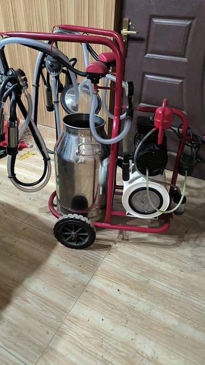 Turkey milking machine