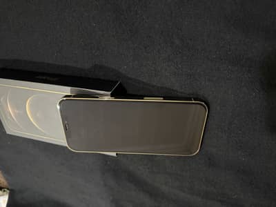 Iphone 12 Pro Max 256gb PTA approved