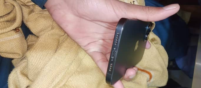 Apple iPhone 12 Pro Max