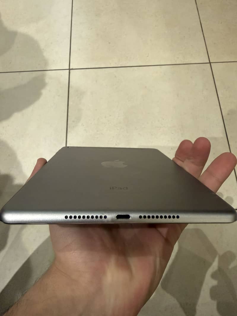 Ipad mini 4 2